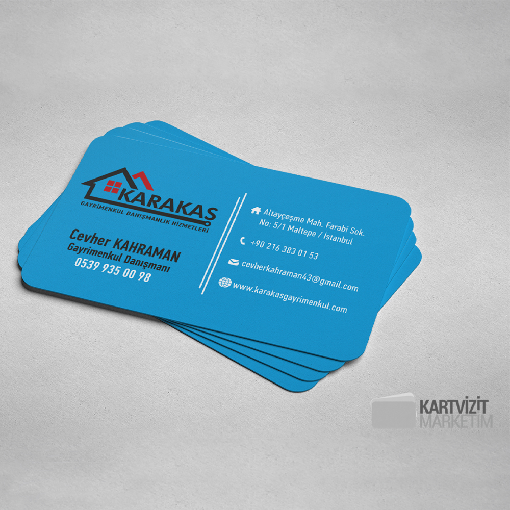 Mavi Gayrimenkul Danışmanı Kartvizit
